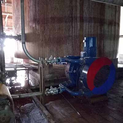 High flow peristaltic hose pump